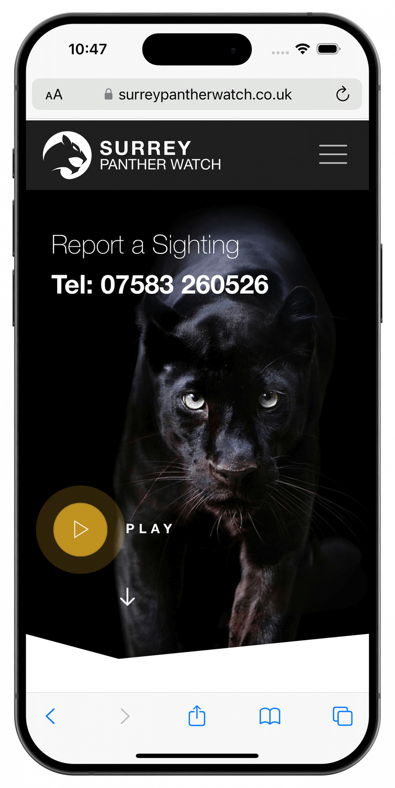 surrey-panther-phone